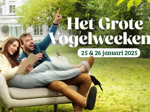 vogeltelweekend